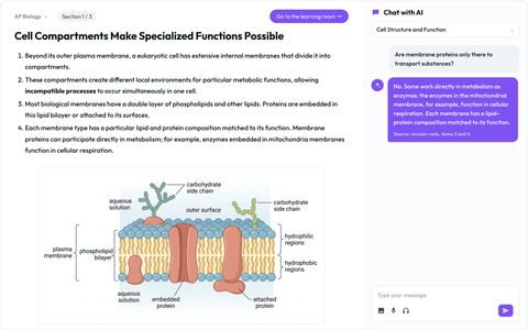 Student: AP Biology revision note and Saksı AI chat