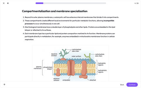 Learning room: AP Biology, compartmentalization and membrane specialization