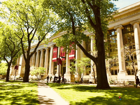 yurtdisi-universite