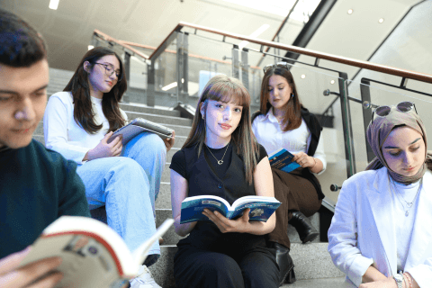 IB Psychology HL (Higher Level)